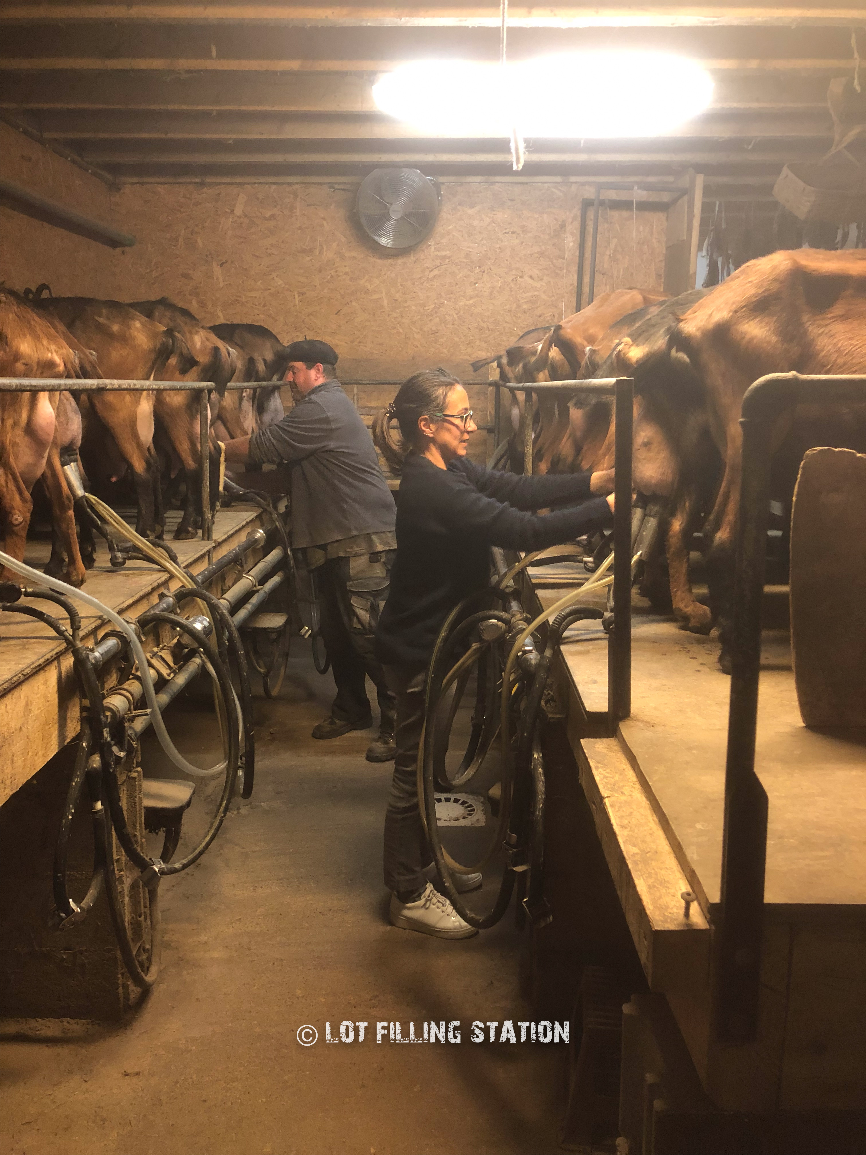 Dégustation et boutique de fromage de Rocamadour